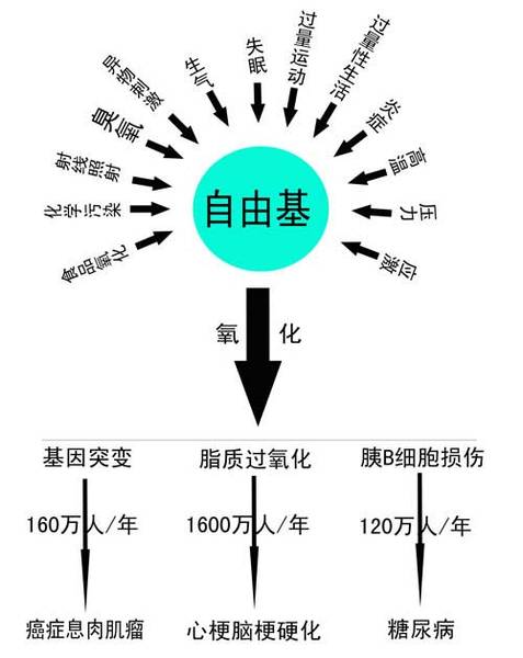 1288714588_5358f0fe