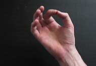 15000441_2