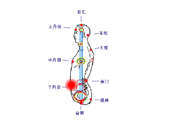 73172051_9